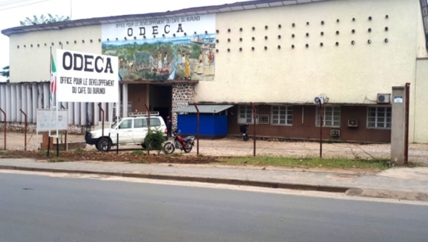  Les caféiculteurs de Giheta non encore rémunérés par l’ODECA