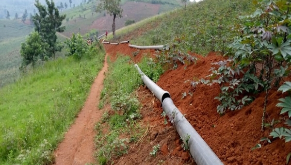 Rugombo : Les agriculteurs en colère face à l'irrigation défaillante et aux récoltes compromises