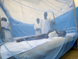Le paludisme ne menace pas la production au Burundi