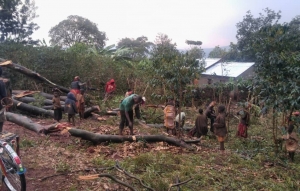 Des pluies diluviennes font des dégâts en commune Mutaho