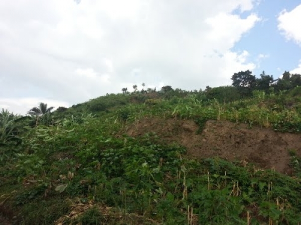 Les Imbonerakure de la province Bujumbura appelés à la vigilance