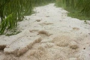 Des intempéries font des ravages dans presque tout le pays