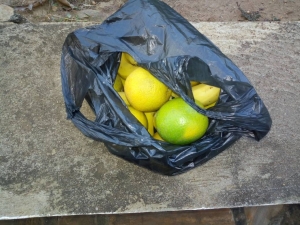 Bujumbura décrète une loi bannissant les sachets non-biodégradables