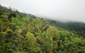 Des feux de brousse refont surface à Makamba