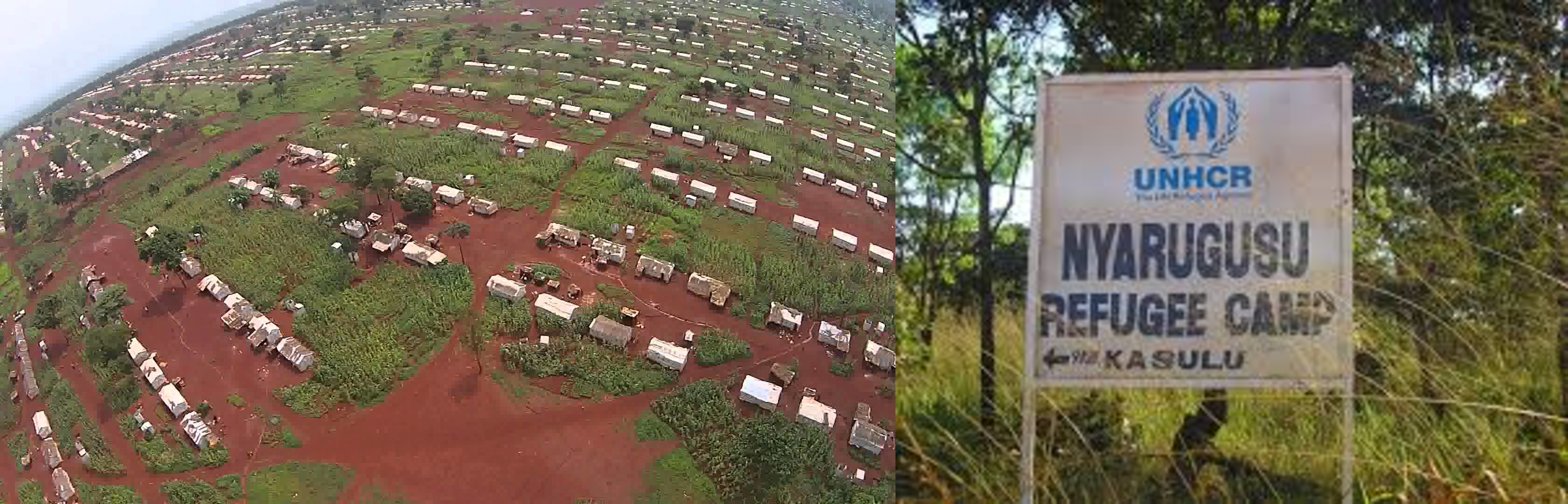 Tanzanie : Le gouvernement  reconnait  l’implication de ses agents dans la perturbation de  la sécurité des réfugiés burundais sur son sol