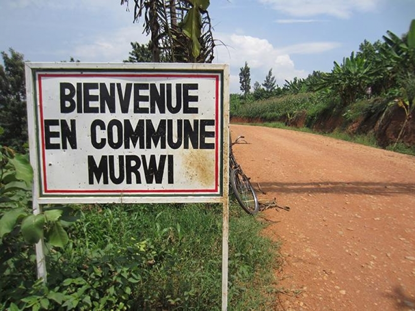 Murwi : L’administrateur cité dans le déboisement de la forêt de Murwi 