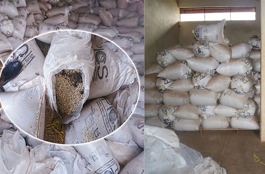 Des grains de maïs avariés de l’ANAGESSA vendus à la population de Bugendana