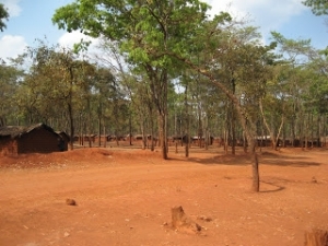 Des enlèvements qui inquiètent au camp de Nduta