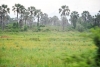 Les Imbonerakure fraichement venus de la RDC inquiètent les habitants proches de la forêt naturelle de la Rukoko