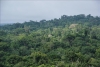 Les habitants riverains de la Kibira inquiets pour leur sécurité