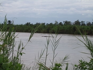 Des cadavres flottent sur la rivière Rusizi
