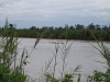 Des cadavres flottent sur la rivière Rusizi