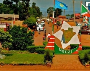 Un membre du parti CNL a été blessé par des Imbonerakure à Gashikanwa