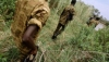 Les militaires burundais sommés de quitter le sol congolais