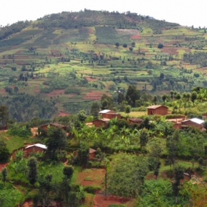 Les habitants de Giheta craignent la famine