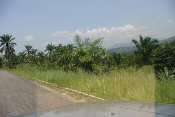 Un sexagénaire battu à mort par les jeunes Imbonerakure de Kizuka