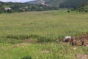 Des enfants menacés de kwashiorkor à Muyinga faute d’assistance