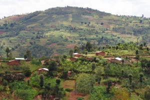 Des infiltrations des Interahamwe seraient en cours à Cibitoke